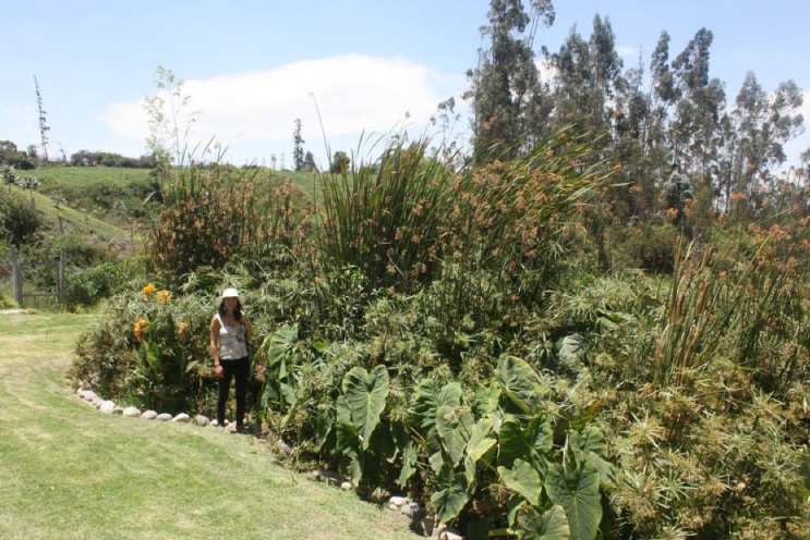 proyecto-yakunina permacultura ptar ecuador aguas residuales
